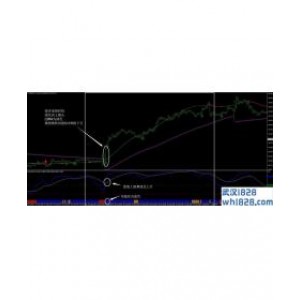 RSIOMA过滤外汇交易系统MT4下载