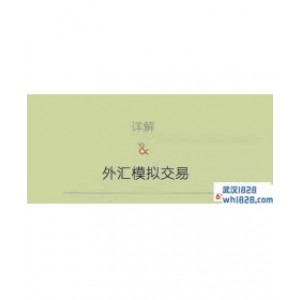 外汇模拟交易软件哪个好？
