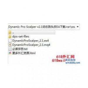 Dynamic Pro Scalper v2.1动态剥头皮EA下载