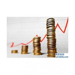 Forex Wealth EA长线策略外汇黄金EA下载!