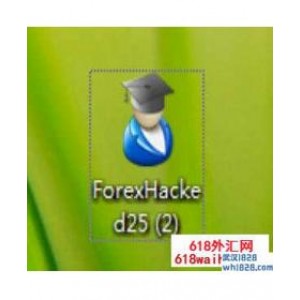 Forex Hacked v2.5对冲加码外汇EA下载