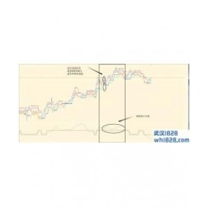 BrainTrend外汇交易系统下载