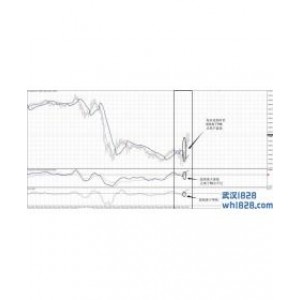 Auslanco外汇交易系统下载