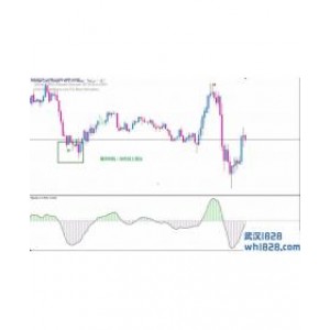 RSI Signal外汇交易系统下载