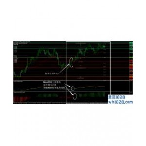 CATFX50外汇交易系统下载