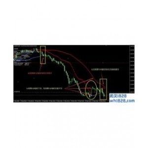 TOP Trend最新趋势智能交易EA下载