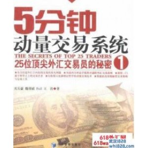 5分钟动量交易系统