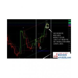 江恩外汇交易系统汉化版下载