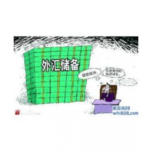我国外汇储备增长,市场有哪些机遇呢？