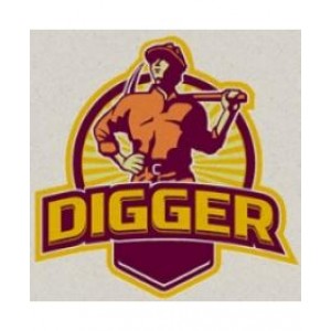 【外汇EA测评】Digger EA — 挖掘机EA！