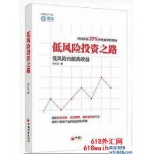 《低风险投资之路》金融书籍下载