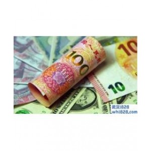 外汇保证金交易新划定,外汇保证金如何计算