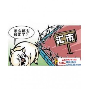 外汇投资入门要注意哪些问题?必备须知!