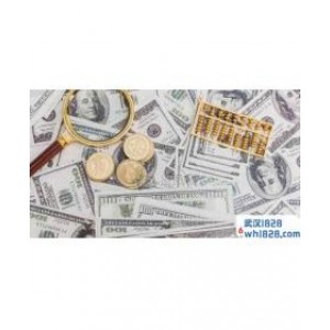 什么是国际外汇 做什么的?