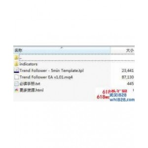 Trend Follower趋势之花(5分钟模板)下载