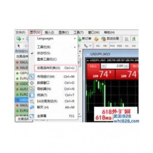 MT4平台中怎么调出其他没有显示的品种?