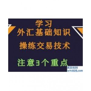 外汇入门知识,外汇入门应该从哪开始学?