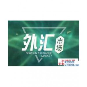 新手怎么学习外汇,新手操作外汇指南