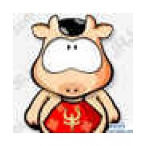 皓月誉金：11.8美股再创新高打压黄金避险需求黄金跌势加剧解套