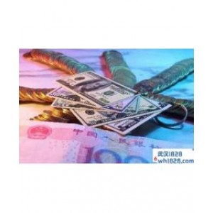 什么是外汇占款,外汇占款是什么意思?
