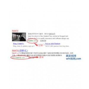 克隆网站仿冒了外汇经纪商MahiFX的官网!