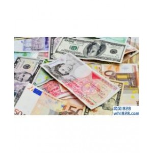 新手选择外汇迷你账户还是标准账户好?