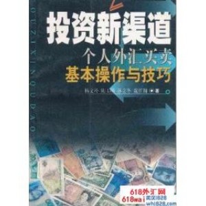 《投资新渠道:个人外汇买卖基本操作与技巧》下载！