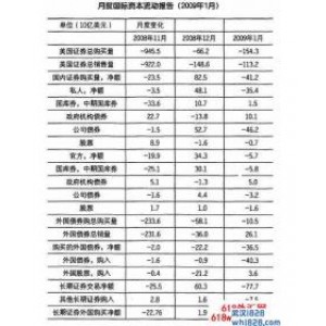 有关月度国际资本流动报告的主要事实