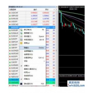 MT4设置自己想要的交易品种其他的都隐藏?