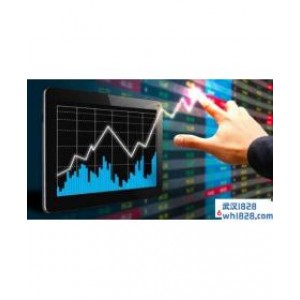 什么是MPS外汇系统 SNA和MPS的主要区别是什么