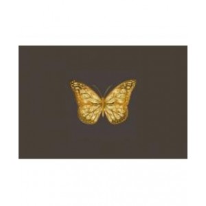 Gold Butterfly Scalper Pro黄金的趋势跟踪和反趋势的外汇EA下载