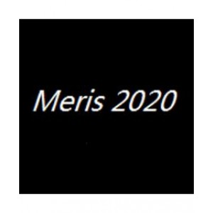 Meris 2020剥头皮外汇EA无限制版本