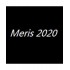 Meris 2020剥头皮外汇EA无限制版本