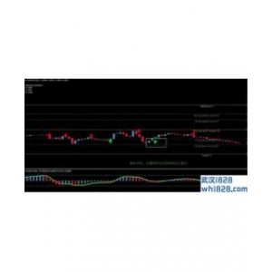 每日信号外汇交易系统下载