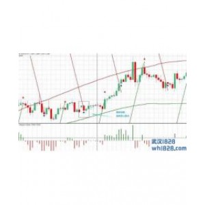 Pama Gann Grid外汇交易系统下载