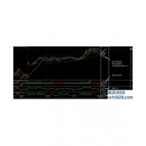 FX11外汇交易系统下载