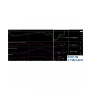 小袋鼠外汇交易系统下载