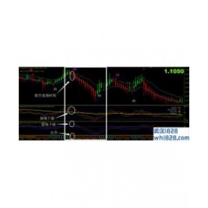 黑王外汇交易系统MT4下载,王者降世!