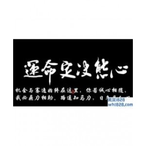 选举顶上加息,下周注定不平静,多头上涨必定还有一波