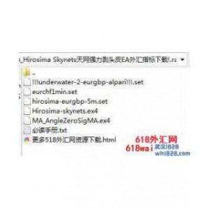 Hirosima Skynets天网强力剥头皮外汇EA下载