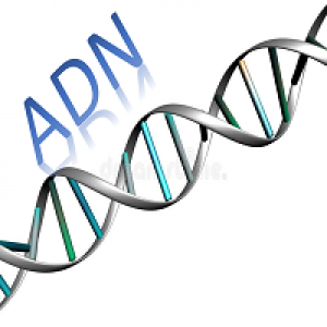 MT4-Adn MT4 Indicator
