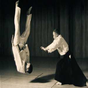 MT4-Aikido