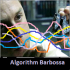 MT4-Algorithm Barbossa
