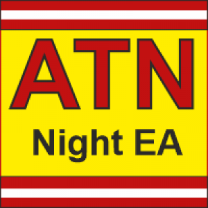 MT5-AlgoTradingNightEA