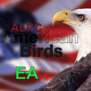 MT4-Alpc American Birds