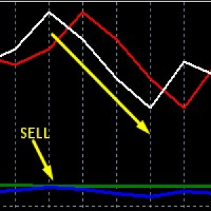 MT4-Audusd and Nzdusd Hedge Strategy