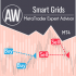 MT4-AW Smart Grids EA