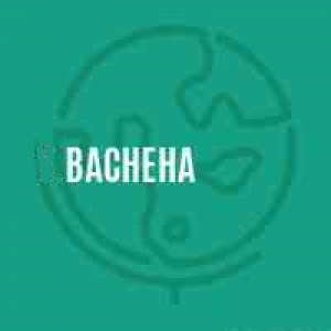 MT4-Bacheha