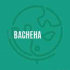 MT4-Bacheha