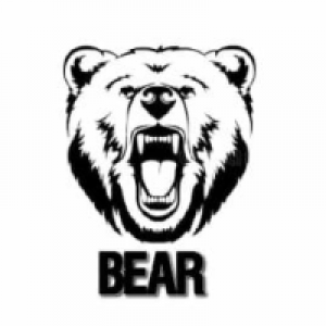 MT4-Bear